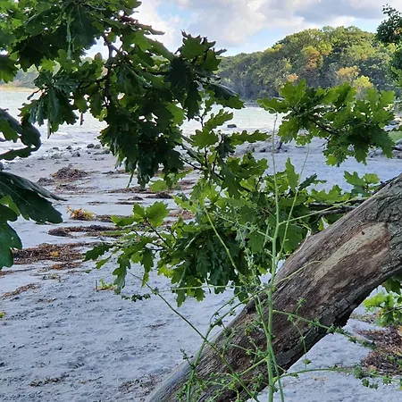 Ferienhaus 6 Person In Asnaes-by Traum Asnæs