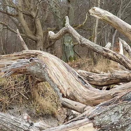 6 Person In Asnaes-by Traum Ferienhaus Asnæs