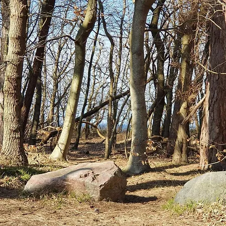 6 Person In Asnaes-by Traum Ferienhaus *