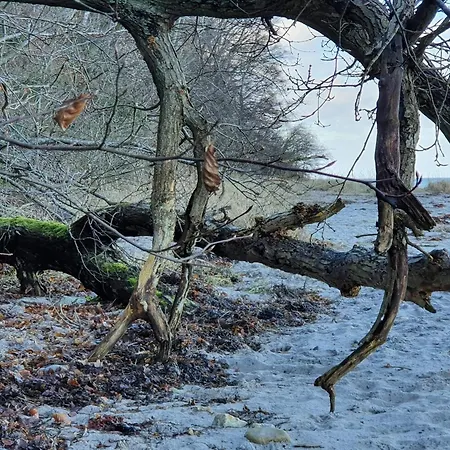 6 Person In Asnaes-by Traum